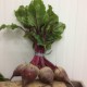 Betteraves rouges (petites) crues avec fanes 