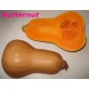 Courge butternut entière