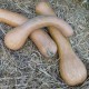 Courge longue de Nice entiere