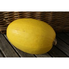 Courge spaghetti