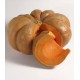 Courge musquée en tranche de 3 kg env
