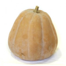 Courge sucrine du Berry de 2 kg mini