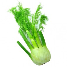 Fenouil