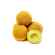 Melon galia