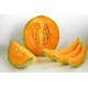 Melon charentais