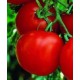 Tomate ronde et rouge